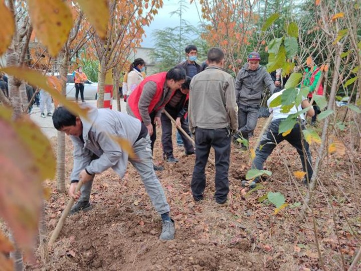 提升墟落人居情形 共绘墟落新画卷——集团驻村事情队与寿山村群众共建樱唬花大道