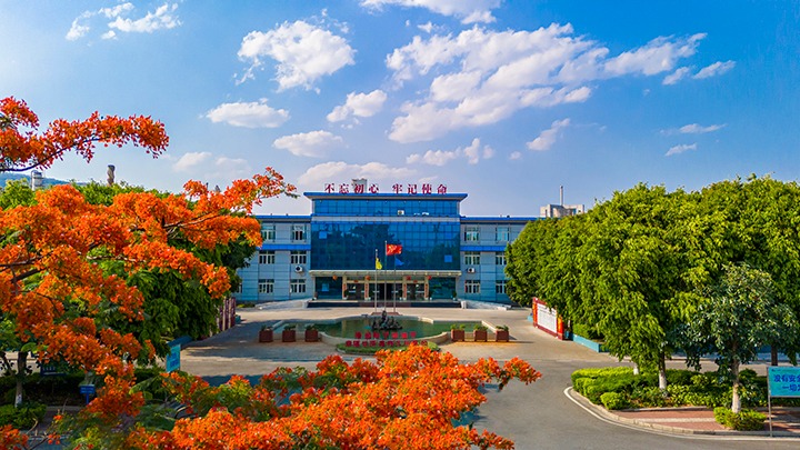 红色基由于引领，，，，，磨练战场写华章  —— 汗水与智慧交织的磨练历程