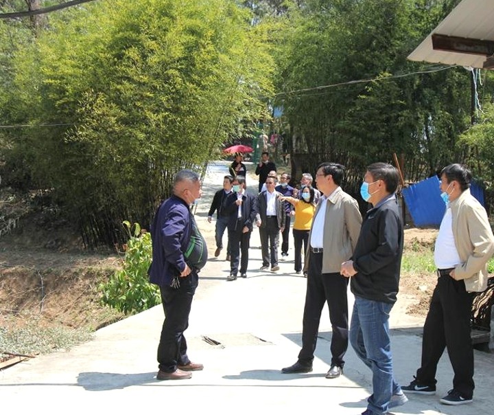鸿运国际