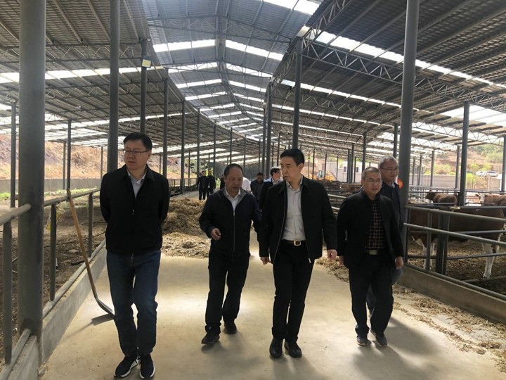 鸿运国际