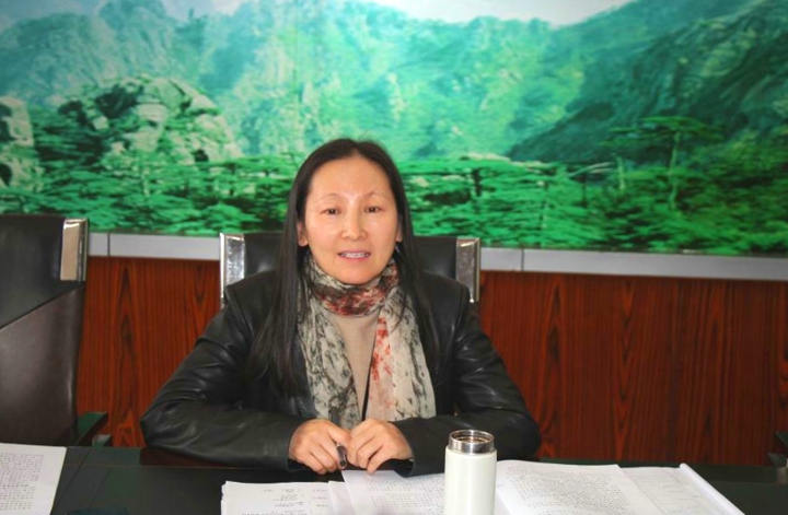 鸿运国际