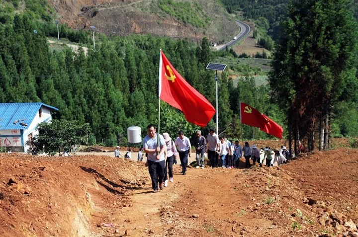 鸿运国际