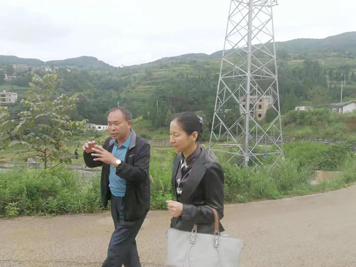 鸿运国际