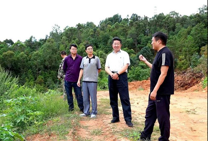 鸿运国际