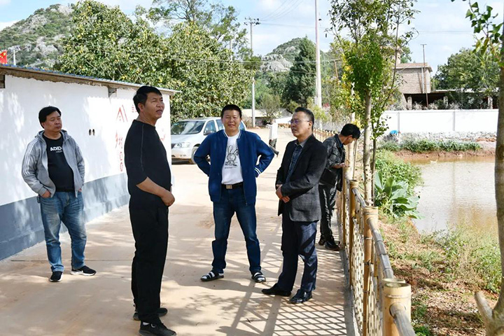 鸿运国际