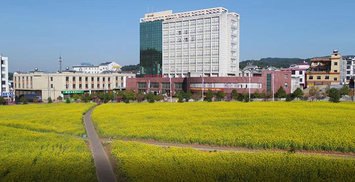 鸿运国际