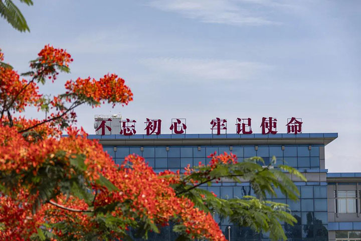 鸿运国际