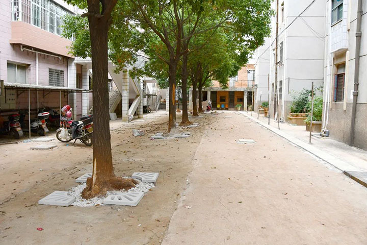鸿运国际