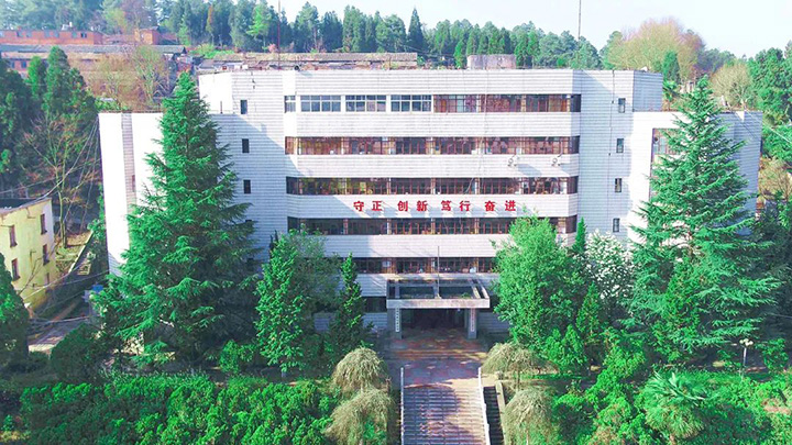 鸿运国际