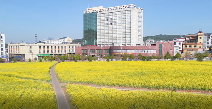鸿运国际
