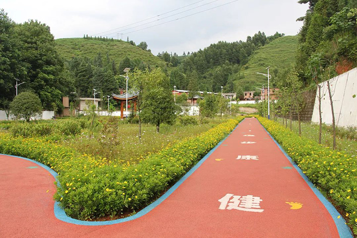鸿运国际