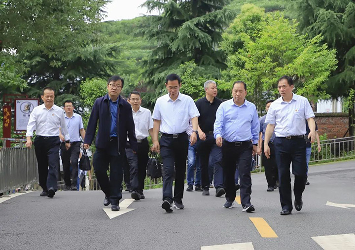 鸿运国际