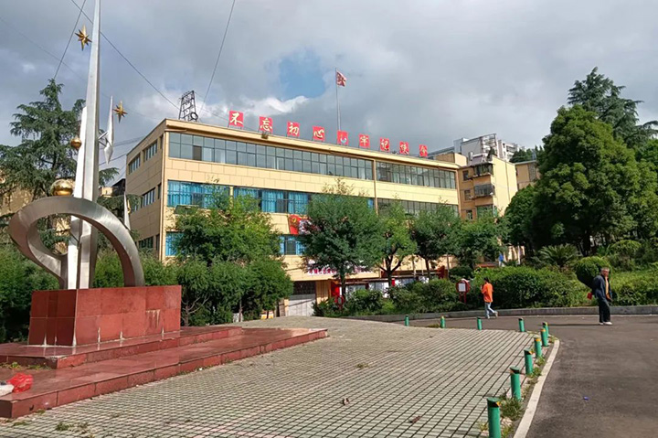 鸿运国际