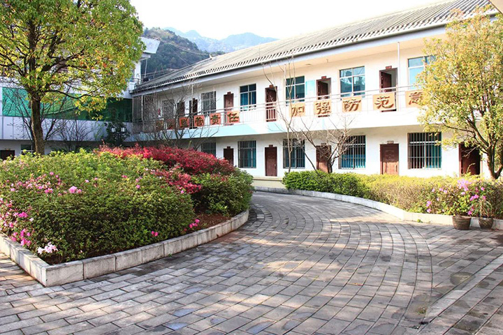 鸿运国际
