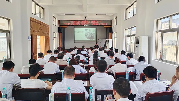 鸿运国际