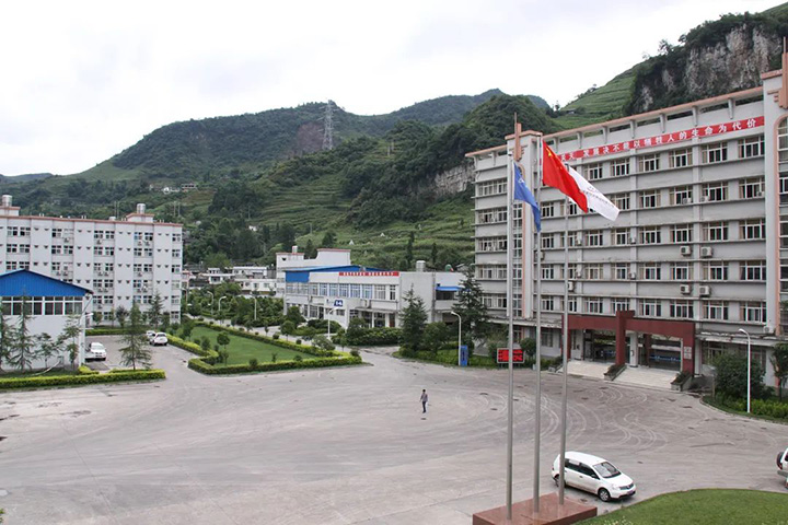 鸿运国际
