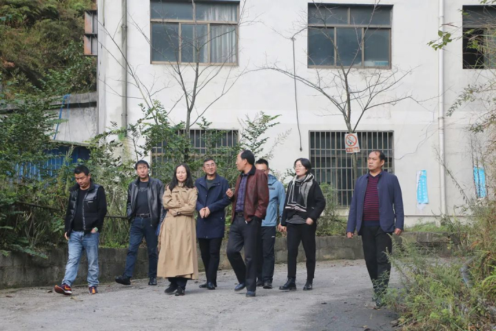 鸿运国际