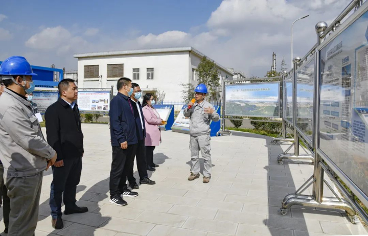 鸿运国际