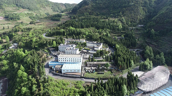 鸿运国际