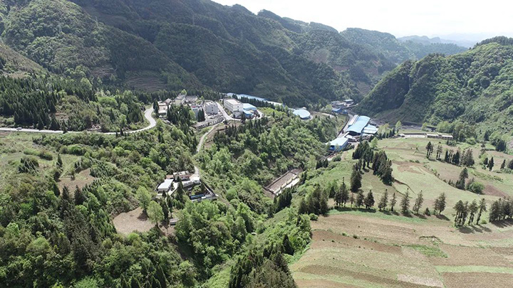 鸿运国际