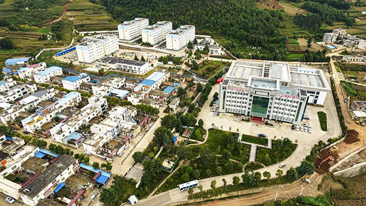 鸿运国际