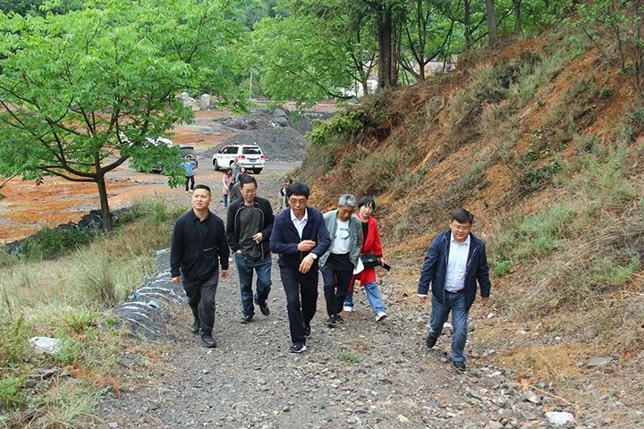 鸿运国际