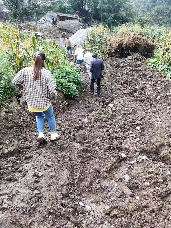 鸿运国际