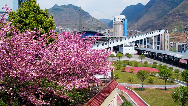 鸿运国际