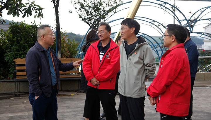 鸿运国际