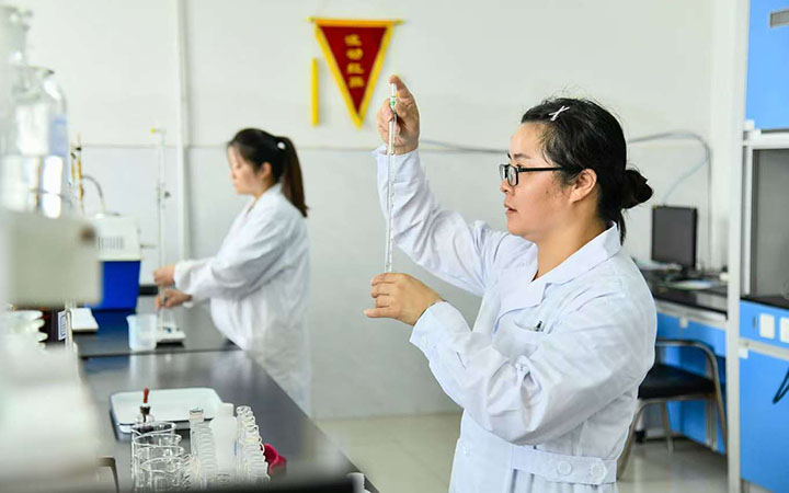 鸿运国际