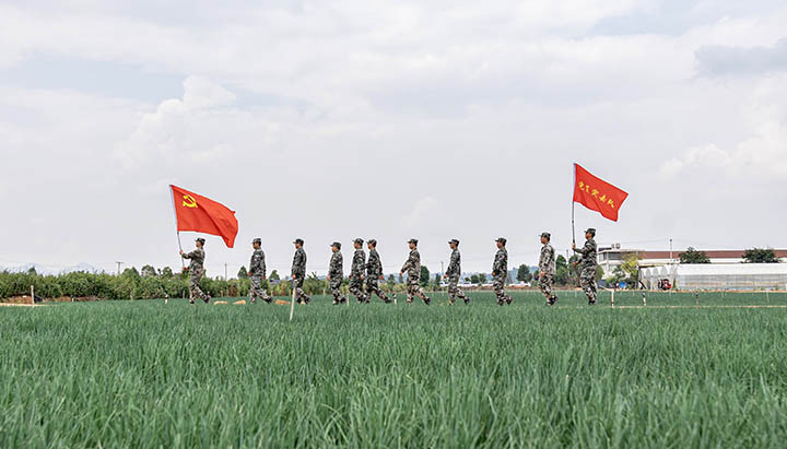 鸿运国际