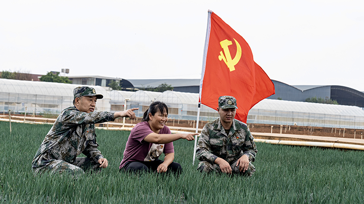 鸿运国际