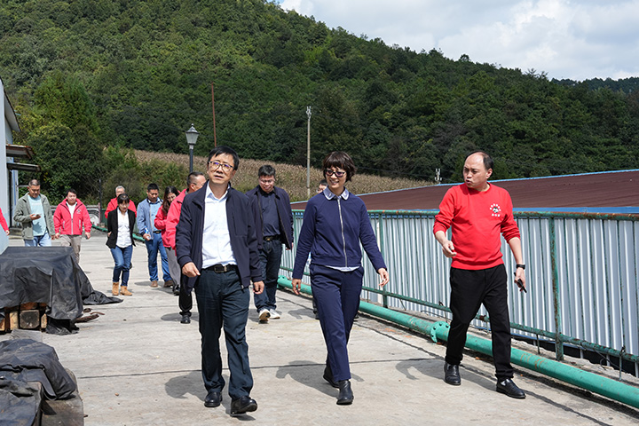 鸿运国际
