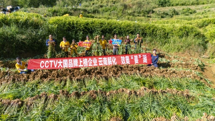鸿运国际