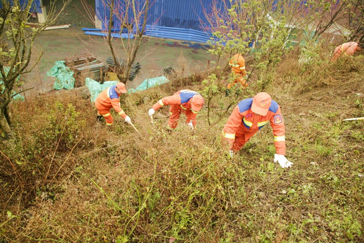 鸿运国际