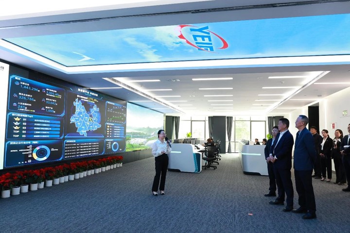 鸿运国际